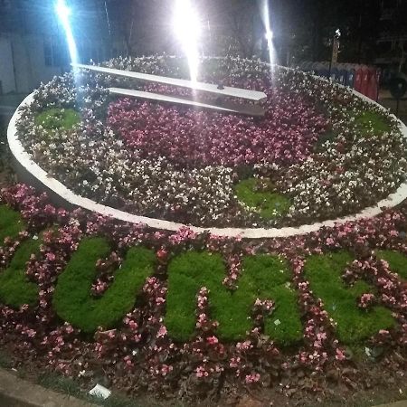 Le Petit Cherie بلوميناو المظهر الخارجي الصورة
